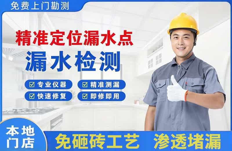 三元精准测漏点